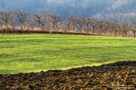 Workshop di fotografia di paesaggio - 1 maggio 2015 - Canonica dei Templari